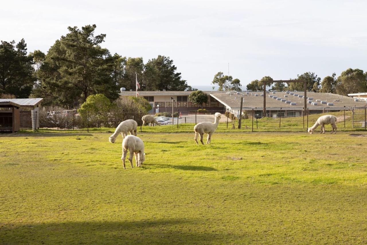 Montara Beach Mountain Escape Exterior photo