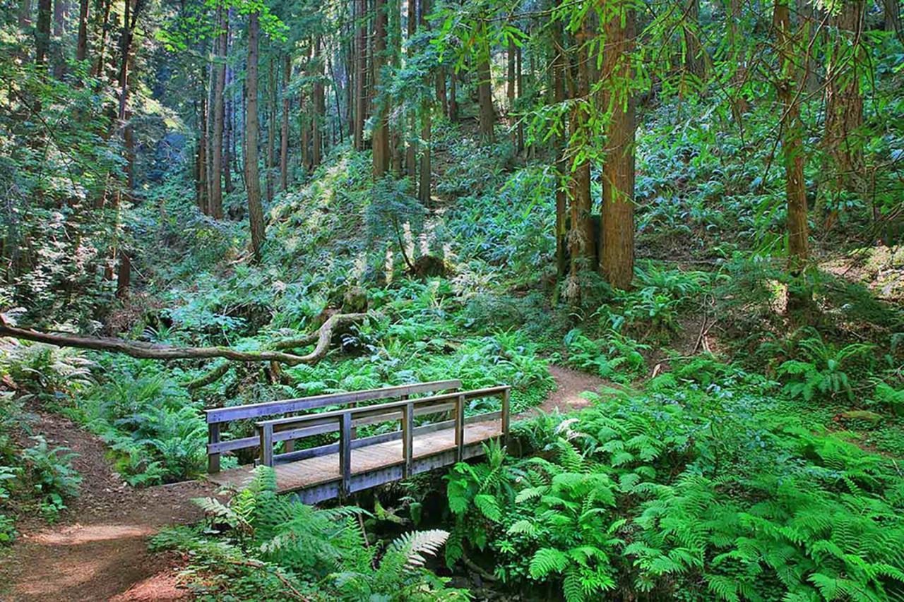 Montara Beach Mountain Escape Exterior photo